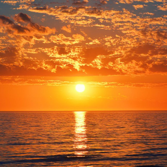 Meet your Posher, Jessica - Picture 1 of 1